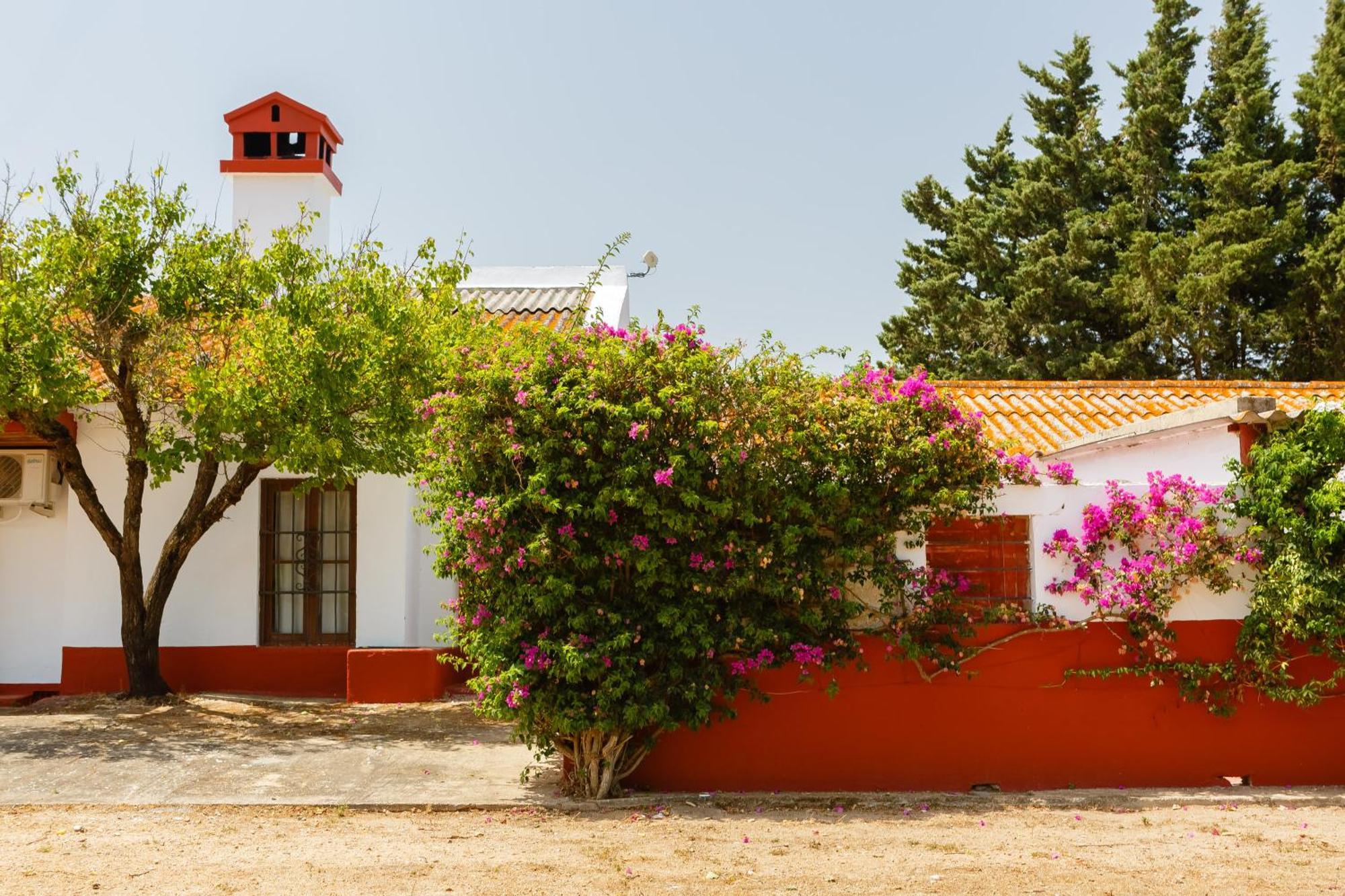 Casa Dehesa De Las Yeguas Cádiz Exteriér fotografie